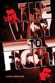 The Way to Fight 1996 on netflix