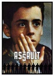 The Assault 1986 on netflix