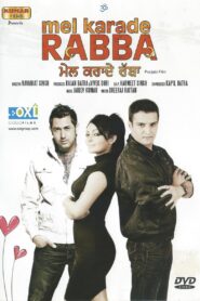 Mel Karade Rabba 2010 on netflix