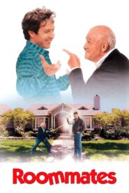 Roommates 1995 on netflix