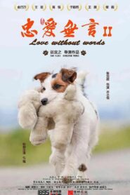Loyalty without words 2 2023 on netflix