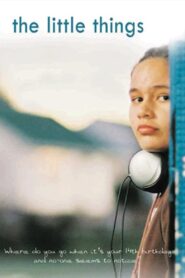 The Little Things 2005 on netflix