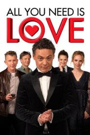 All You Need Is Love 2018 on netflix