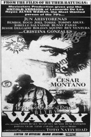 Leonardo Delos Reyes: Alyas Waway 1993 on netflix