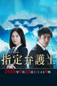 Designated Lawyer 2018 on netflix
