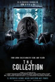 The Collection 2012 on netflix