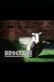 Brockside 1987 on netflix