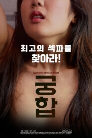 Compatibility 2020 on netflix