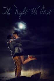 The Night We Met 2016 on netflix