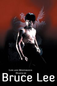 The Curse of the Dragon 1993 on netflix