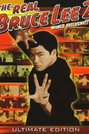 The Real Bruce Lee 2 2002 on netflix