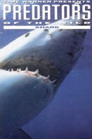 Predators of the Wild: Shark 1992 on netflix