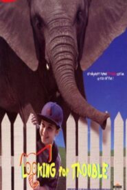 Looking for Trouble 1996 on netflix