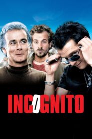 Incognito 2009 on netflix