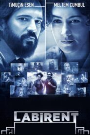 Labyrinth 2011 on netflix