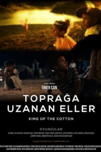 King of the Cotton 2014 on netflix