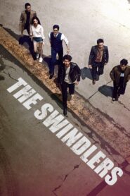 The Swindlers 2017 on netflix
