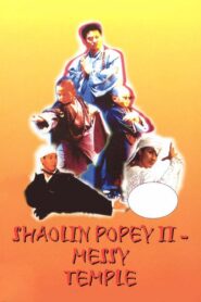 Shaolin Popey II: Messy Temple 1994 on netflix