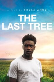 The Last Tree 2019 on netflix
