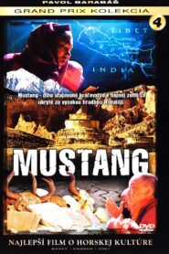 Mustang 2001 on netflix