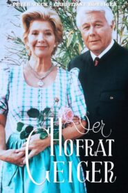 Hofrat Geiger 1996 on netflix