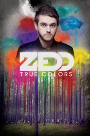 Zedd: True Colors 2016 on netflix
