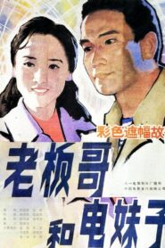 Brother Boss and Sister Electrician 1984 on netflix