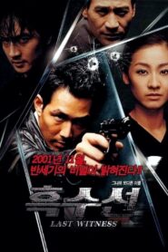 The Last Witness 2001 on netflix