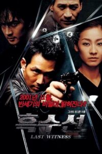 The Last Witness 2001 on netflix