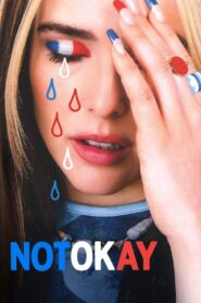 Not Okay 2022 on netflix