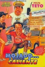 Mojado… pero caliente 1989 on netflix