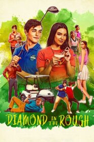 Diamond in the Rough 2022 on netflix