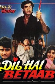 Dil Hai Betaab 1993 on netflix