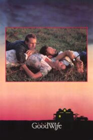 The Good Wife 1987 on netflix