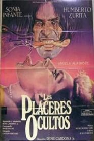 Hidden Pleasures 1989 on netflix