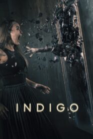 Indigo 2023 on netflix
