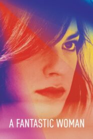 A Fantastic Woman 2017 on netflix