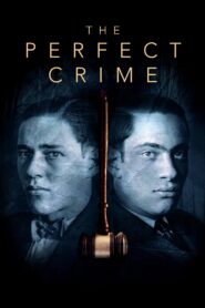 The Perfect Crime: Leopold & Loeb 2016 on netflix