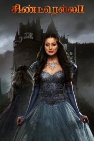 Cinderella 2021 on netflix