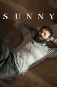 Sunny 2021 on netflix