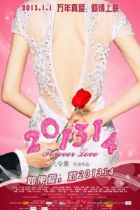 201314 2013 on netflix