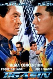 Tigasin 1999 on netflix