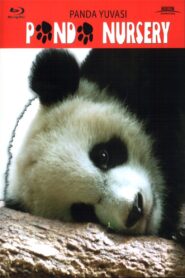 Panda Nursery 2005 on netflix