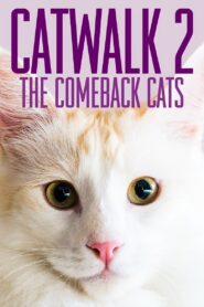 Catwalk 2: The Comeback Cats 2022 on netflix