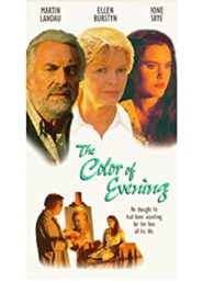 The Color of Evening 1990 on netflix