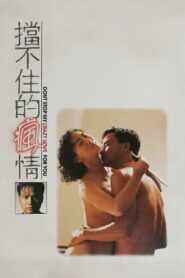 Don’t Stop My Crazy Love for You 1993 on netflix