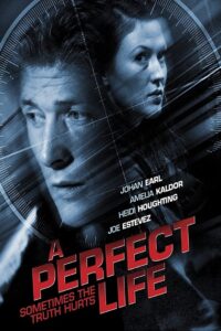 A Perfect Life 2011 on netflix