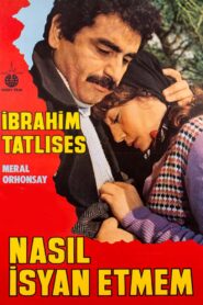 Nasıl İsyan Etmem 1982 on netflix