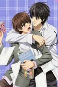 Sekaiichi Hatsukoi: Valentine-hen 2014 on netflix