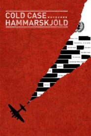 Cold Case Hammarskjöld 2019 on netflix